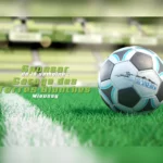 Garage des Terres Blanches HGFC carré